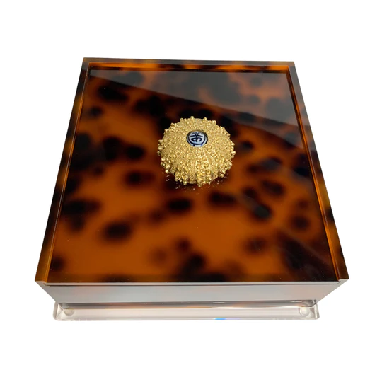 Tortoise Cocktail Napkin Holder- Sea Urchin
