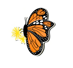 Monarch Big Attachment