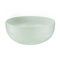 Choices Green Bowl 10inch