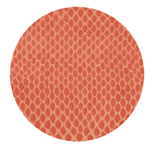Snakeskin Coral Coasters S/8
