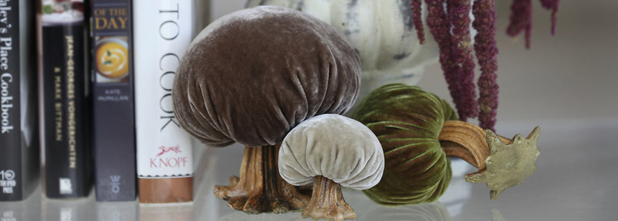 Truffle Mushroom 3"