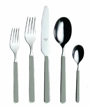 Fantasia Grey  5 Pc Flatware Set