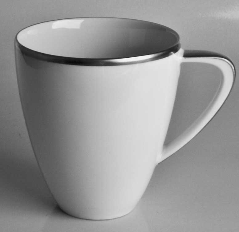 Simply Elegant Platinum Mug Set of 2