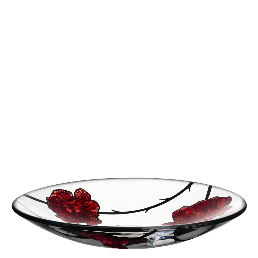 Tattoo Dish Clear