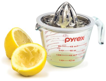 Citrus Juicer Stainless Steel