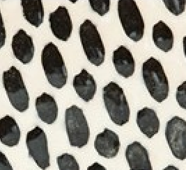Dot Black Salad Plate
