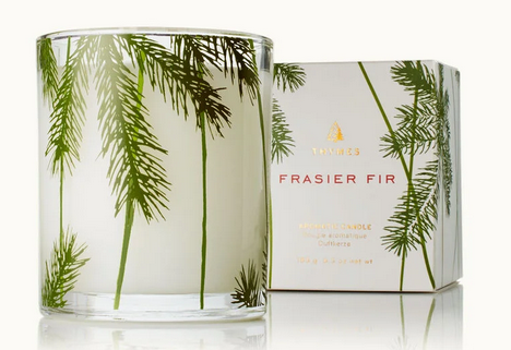 Frasier Fir Pine Needle