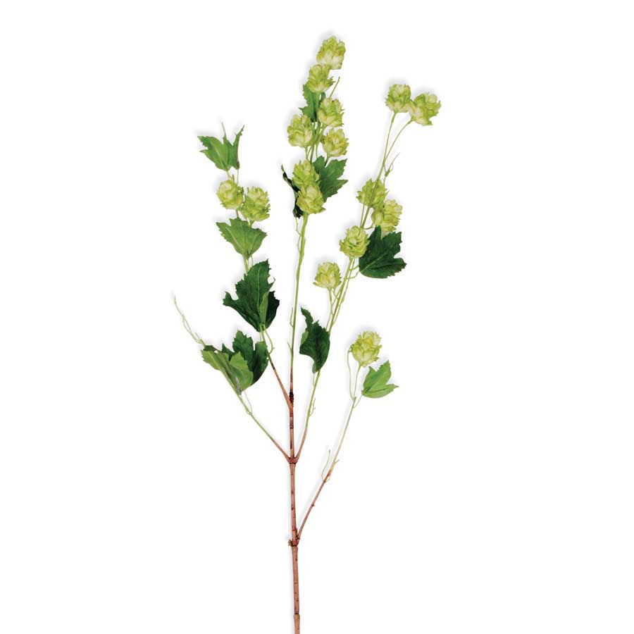 Green Hops Stem 39inch
