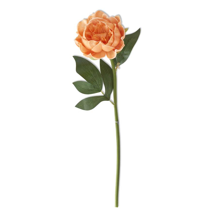 Peach Real Touch Peony 20in