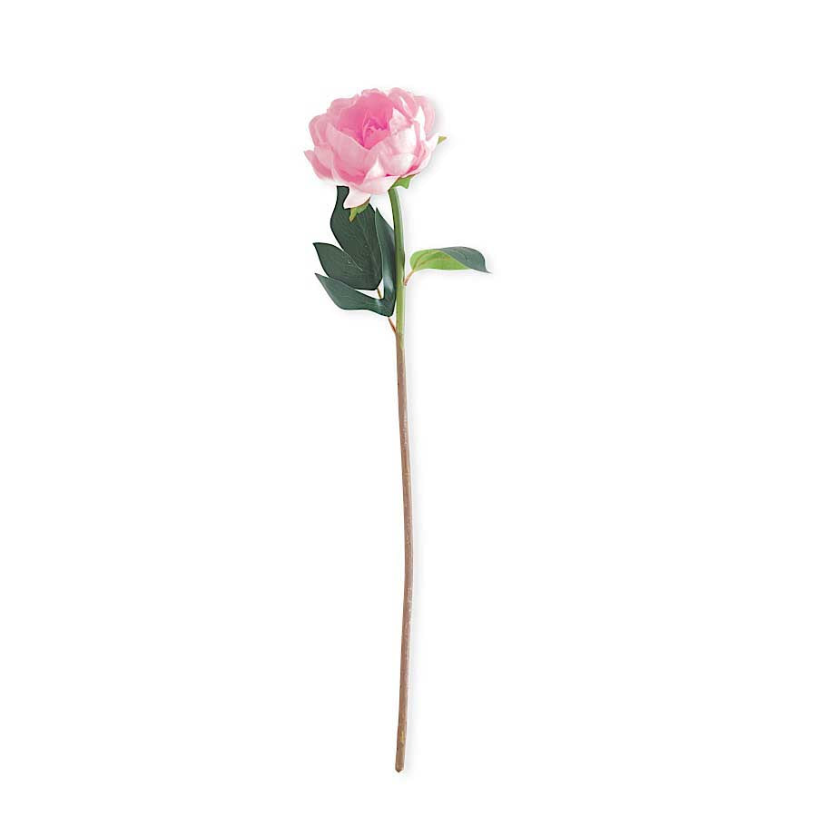 Pink Real Touch Peony Stem 20"
