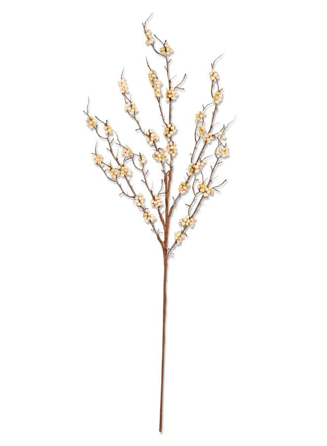 Cream Seed Berry and Twig Stem