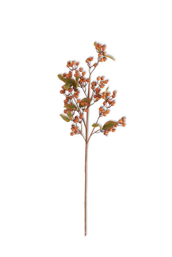 Brown Berry Spray with Green Leaves