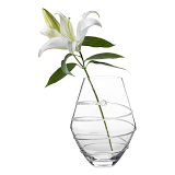 Amalia Vase Clear 11 inch