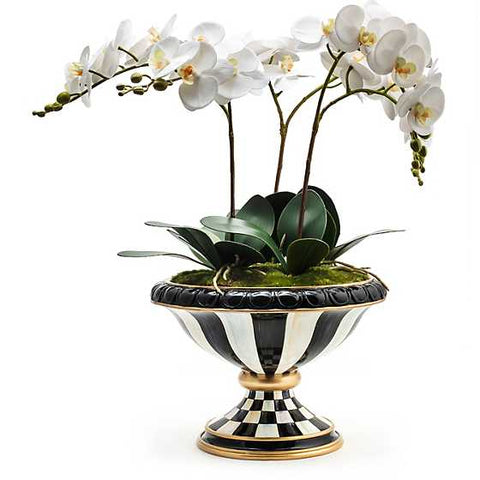 Courtly Check Orchid Arrangement