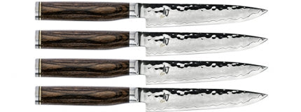 Premier 4 pc Steak Set