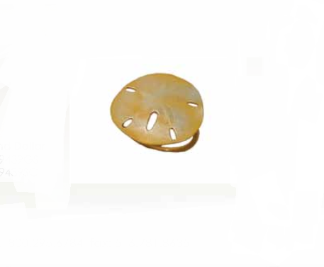 Napkin Ring Sand Dollar Set/4
