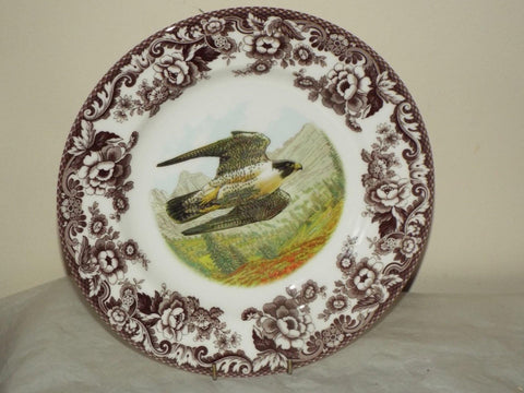 Woodland Dinner Plate - Pergegrine Falcon
