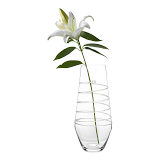 Amalia Vase Clear 16 inch