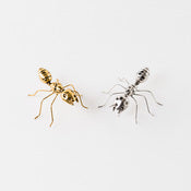 Metal Ant Silver or Gold